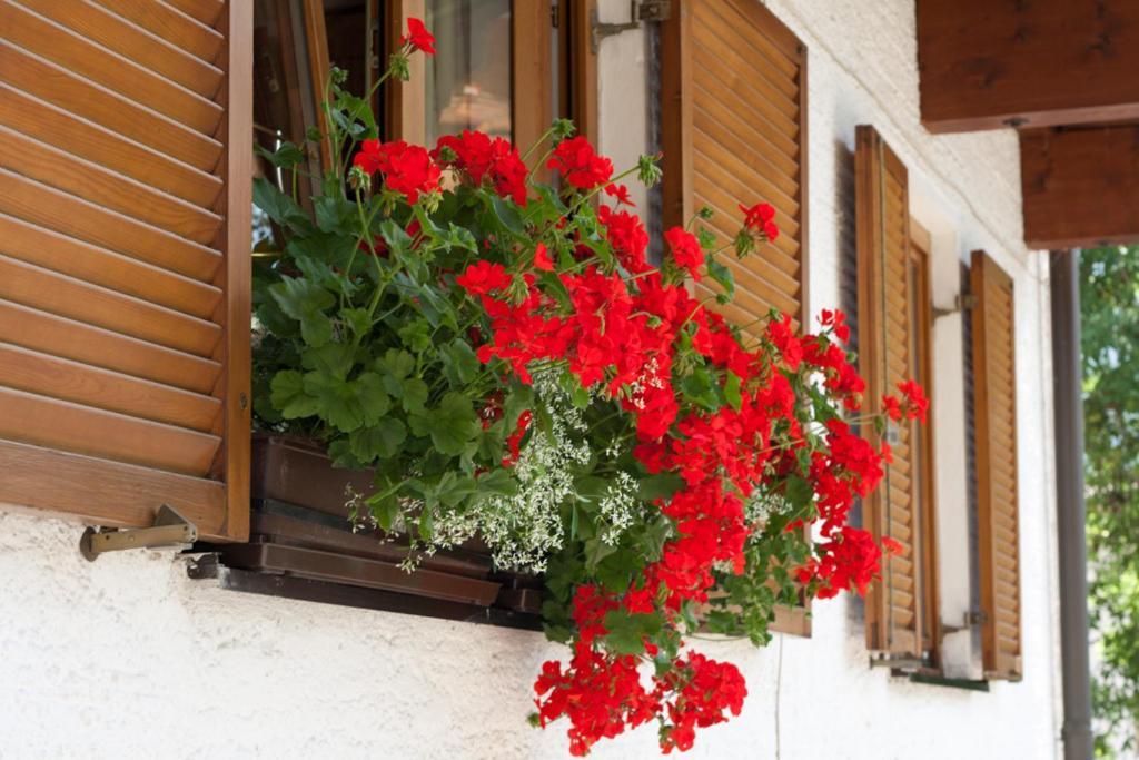 Apartamento Haus Wendelin Fulpmes Exterior foto